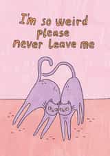 Funny Valentine's Day Card - Cats - Please Never Leave Me created by Sunpatch Society
