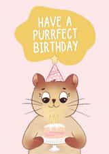 Cute Birthday Card - For Her - Cat Pun created by Thayna Oliveira