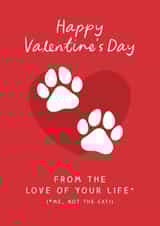 Cute Valentine's Day Card - Love Of Your Life - Cat created by The Cake Thief