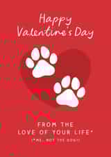 Cute Valentine's Day Card - Love Of Your Life - Me, Not The Dog! created by The Cake Thief