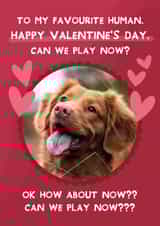 Personalised Valentines Day Photo Card created by From The Dog - Cute Valentine's Day Card - From the Dog - Can We Play Now?