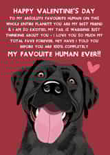 Cute Valentine's Day Card - From The Dog - Black Labrador created by From The Dog
