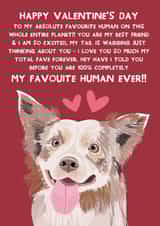 Cute Valentine's Day Card - From The Dog - Border Collie created by From The Dog