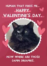 Personalised Valentines Day Photo Card created by From The Dog - Cute Valentine's Day Card - From The Cat - Hearts