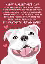 Cute Valentine's Card - From the Dog - White Staffordshire Bull Terrier created by From The Dog