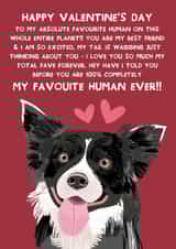 Cute Valentine's Day - From the Dog - Border Collie created by From The Dog