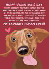 Cute Valentine's Day Card - From The Dog - Dachshund Dog created by From The Dog