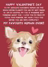 Cute Valentine's Day Card - From the Dog - Chihuahua created by From The Dog