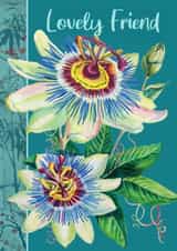 Pretty Birthday Card - Lovely Friend - Passion Flower created by Rocket68