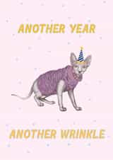 Funny Birthday Card - Wrinkly Sphynx Cat created by amysrvc illustration