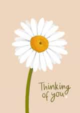 Sweet Thinking of You/Sympathy Card - Daisy - Heart created by Fliss Muir
