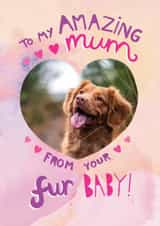 Personalised Mothers Day Photo Card created by Pencilface - Cute Mother's Day Card - From Your Fur Baby