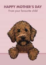 Cute Mother’s Day Card - Chocolate Labradoodle - From The Dog created by Choo Choo 