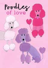 Cute Valentine's Day Card - Poodles Of Love - Dogs created by Holly Fox