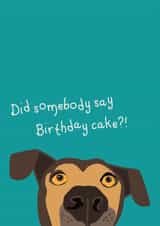 Cute dog birthday card for animal lovers. Did somebody say cake?! created by Kritter Design