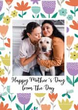 Personalised Mothers Day Photo Card created by Sarah Corcoran - Cute Mother's Day Card - Flowers - From The Dog
