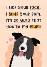 Cute Mother's Day Card - From The Dog - Border Collie created by Joanne Hawker