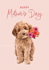 Cute Mother's Day Card - Cockapoo created by Debbie Daley Illustrations