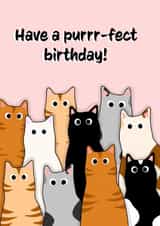 Cute birthday card for your loved ones with cats created by Deadpixel