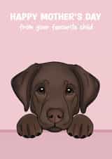 Cute Mother’s Day Card - From The Dog - Chocolate Labrador created by Choo Choo 