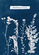 Arty Thinking Of You Card - Cyanotype Flowers created by Studio Pistachio