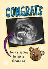 Personalised Pregnancy Photo Card created by TeePee Creations - Cute Pregnancy Card - Grandad To Be