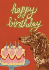 Cute Birthday Card - Dachshund - Cake created by Isobel Rose Illustration