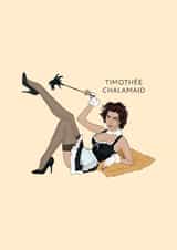Funny Birthday/Just Because Card - Timothée Chalamet - Timothée Chalamaid created by Chloë Langer
