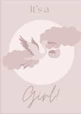 Newborn Baby Girl created by LizzyChloe