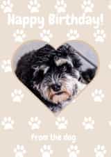 Personalised Birthday Photo Card created by LizzyChloe - Happy Birthday! From the dog