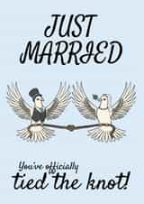 Classic Wedding Card - Doves - Tied The Knot created by @Cupsie's Creations