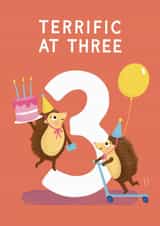 Cute 3rd Birthday Card - Terrific At Three - Hedgehogs created by Painted Parasol Studio