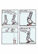 Funny Cartoon Comic Card - Pigeon Reincarnation created by Cardinky