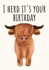 Cute Birthday Card - Highland Cow - Pun created by Peach and Mimi