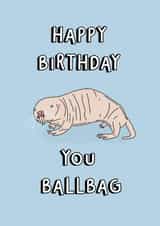 Funny Birthday Card - You Ballbag - Naked Molerat created by Blessherlittleartoons by Amy