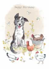 Cute Birthday Card - Border Collie Dog with Hens created by Paper Shed Design
