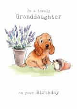 Cute Birthday Card - For Granddaughter - Cute Puppy with Hedgehog created by Paper Shed Design
