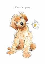 Cute Thank you Card - Puppy with Daisy created by Paper Shed Design