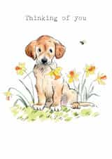 Cute Thinking of you Card - Cute Puppy with Daffodils created by Paper Shed Design