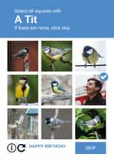 Personalised Birthday Photo Card created by Paul Stevens - Funny Birthday Card - Select a square - Tit