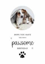 Personalised Birthday Photo Card created by Kalm Lettering - Classic Birthday Card - The Most Pawsome Birthday
