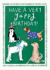 Dogs Birthday Card - Dog Pun Card - Cute Dog Birthday Card created by Lauren Barclay