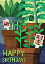 Arty Birthday Card - Seedling Pots - Plants - Gardening created by Catherine Pape