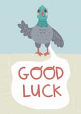 Funny Good Luck Card - Pigeon Poo created by Belly Flops 