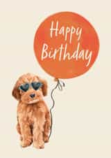 Cute Birthday Card - Cockapoo - Balloon created by Debbie Daley Illustrations