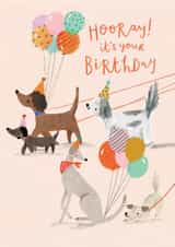 Cute Birthday Card - Party Dogs With Balloons created by Louise Tiler