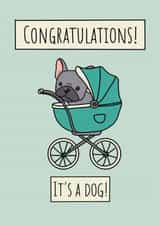 Cute Congratulations Card - New Dog - French Bulldog created by Natalie Tuck
