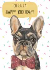 Cute Birthday Card - French Bulldog created by Dotts Yard