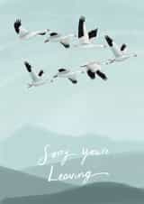 Cute Leaving Card - Sorry You're Leaving - Birds created by Becca Hall illustration