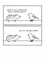 Funny Hedgehog Greeting Card - You Scratch My Back - Hedgehog created by Redback Cards